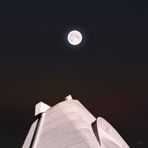 大鸡巴操美女的逼
